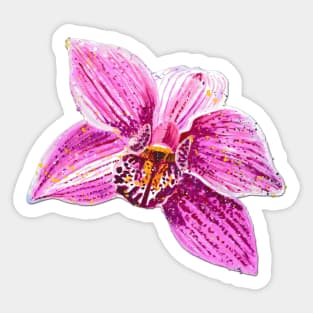 Cymbidium Orchid Pink Flower 2 Sticker